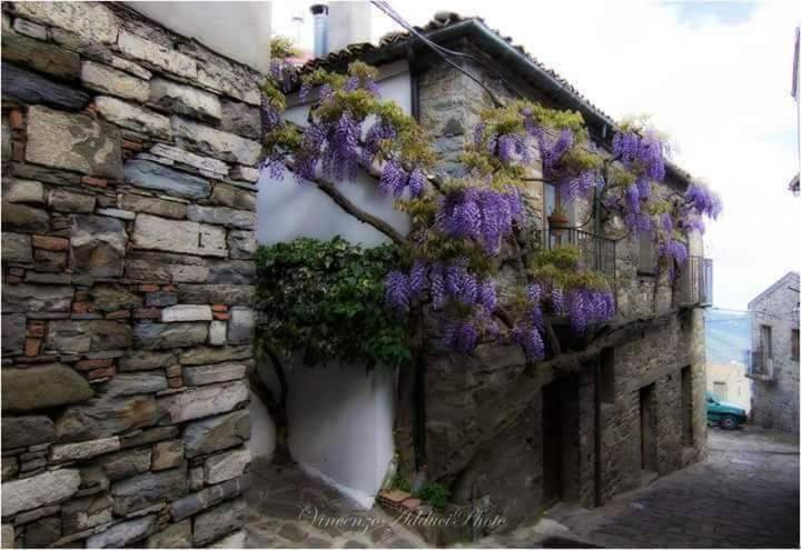 Sant'Elia B&B Alessandria del Carretto Εξωτερικό φωτογραφία