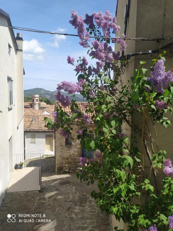Sant'Elia B&B Alessandria del Carretto Εξωτερικό φωτογραφία